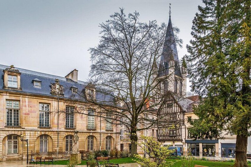 Un edificio histórico con un gran árbol frente a él, una iglesia con una alta aguja y un cielo despejado. 2