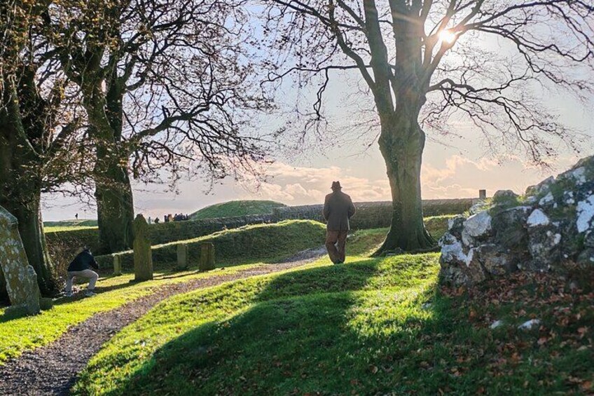 A person walking on a grassy path with trees and a stone wall in a rural setting. 3