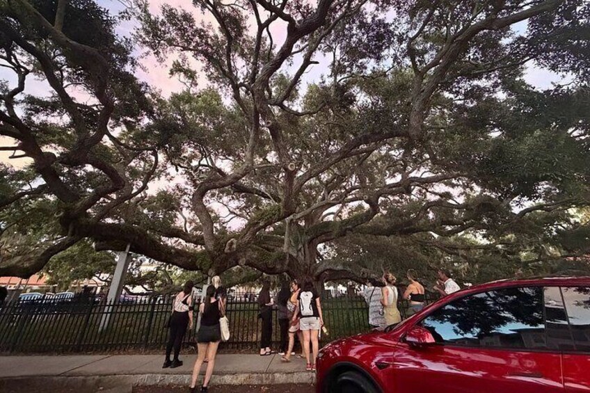 Safety Harbor Ghost Tour — Haunted History & True Crime 2