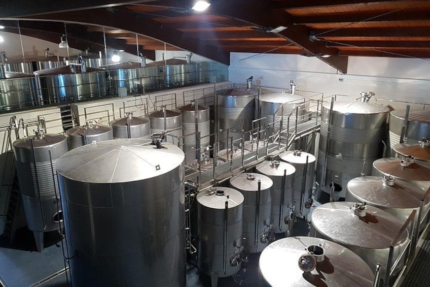 Inside the winery: the production process of Txakoli Wine 5