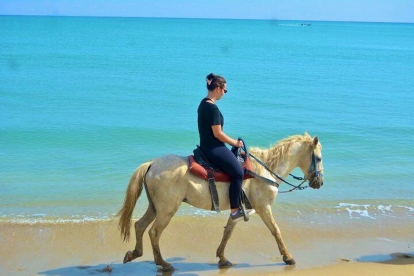 Beach Horseback Riding Adventure in Puerto Plata 2