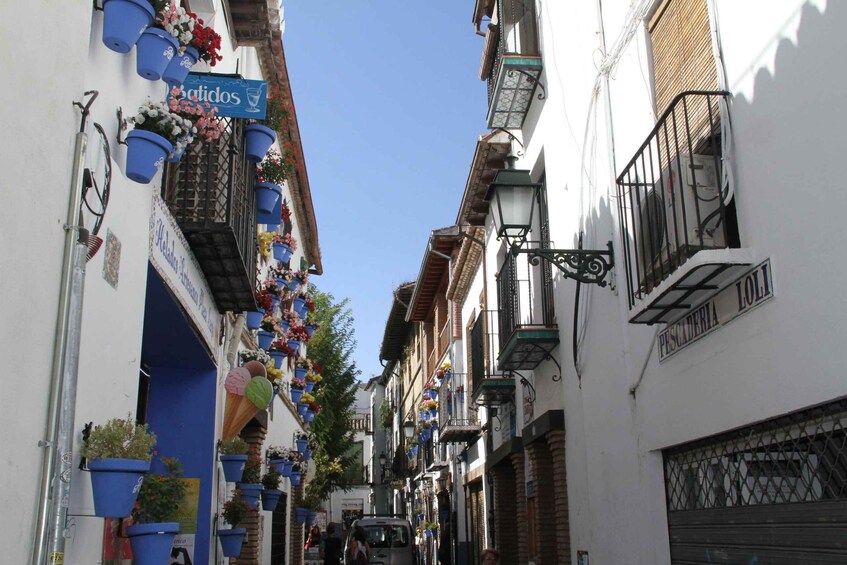 Picture 4 for Activity Granada: Albaicin and Sacromonte Private Tour 3