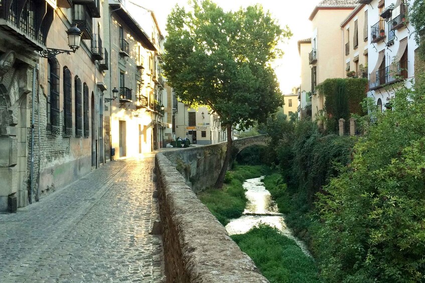 Picture 3 for Activity Granada: Albaicin and Sacromonte Private Tour 5
