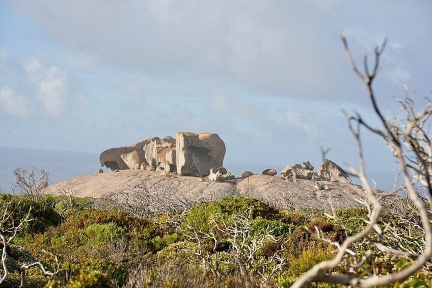 Kangaroo Island 2-Day Wildlife Adventure Small Group tour 3