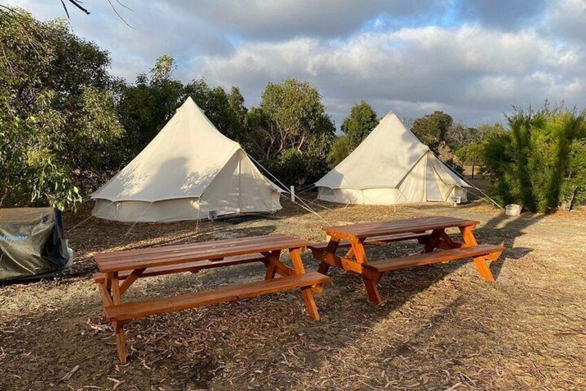 Kangaroo Island 2-Day Wildlife Adventure Small Group tour 2
