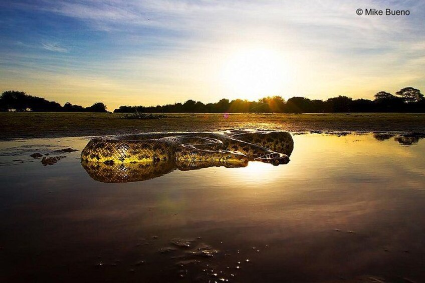 8 Days Jaguars and Pantanal Safari tour 2