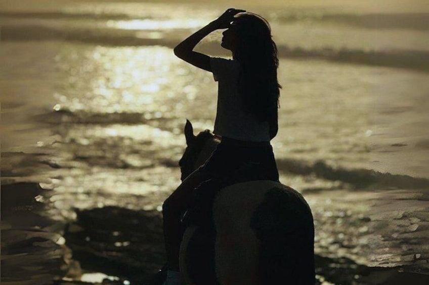 Embark in an epic trail while Horseback Riding in Aguadilla Beaches in the Sunset 3