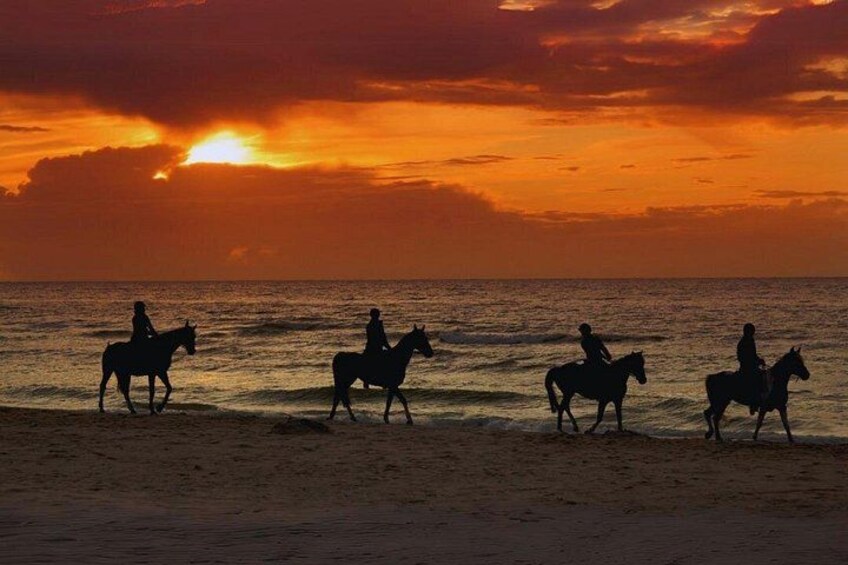 Sunset Horseback Riding Awaits 1