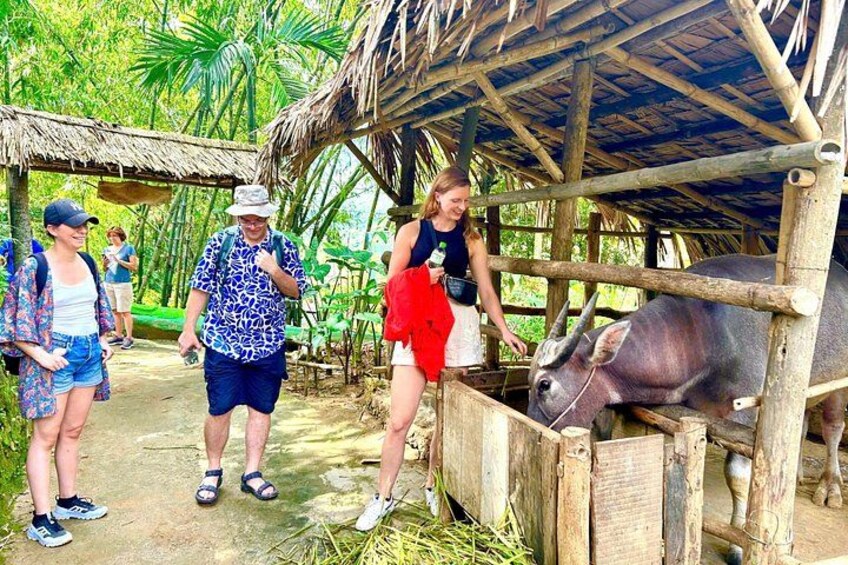 Pu Luong: Trekking Village, Bamboo Rafting, Swimming& Local Lunch 2