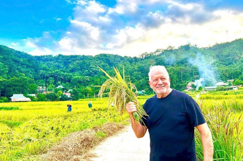 A man holding a bundle of plants in a lush green field with a mountain in the background. 2