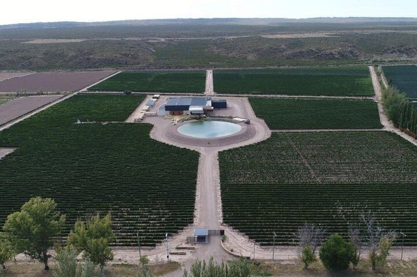 Bodegas & Olivares 1/2 day without lunch 5