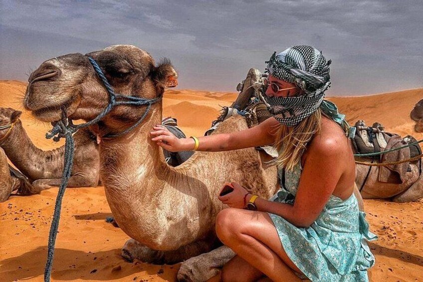 From Djerba: Explore the desert in a day 5