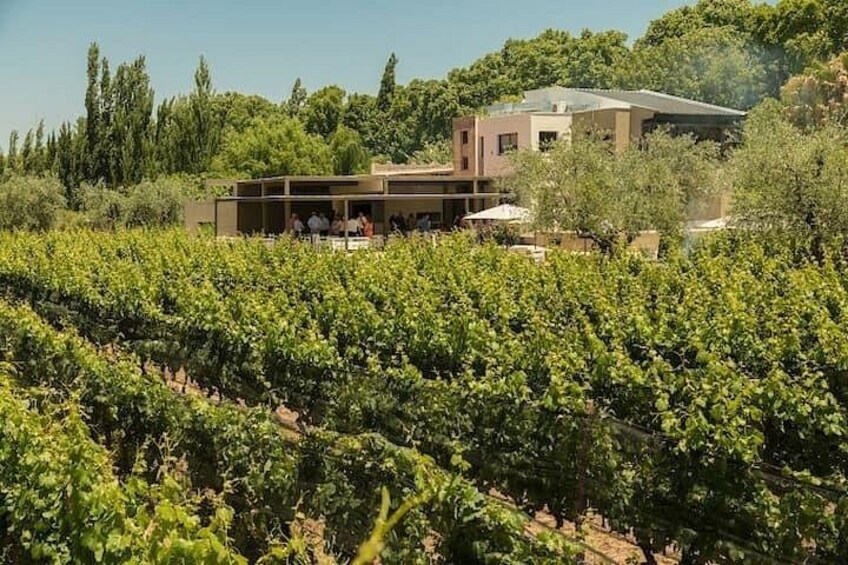 Tour of 3 Wineries in Lujan de Cuyo with Lunch included 4