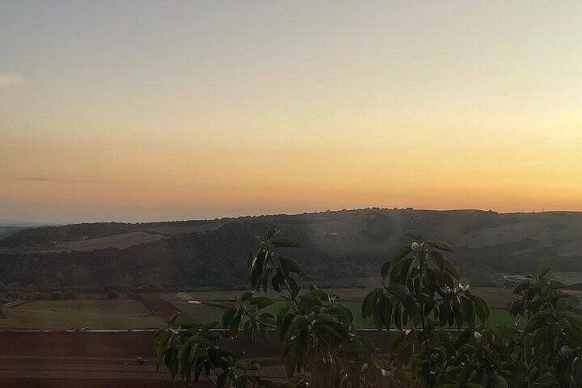 Private day trip to Arcos, Medina Sidonia and Vejer de la Frontera 2