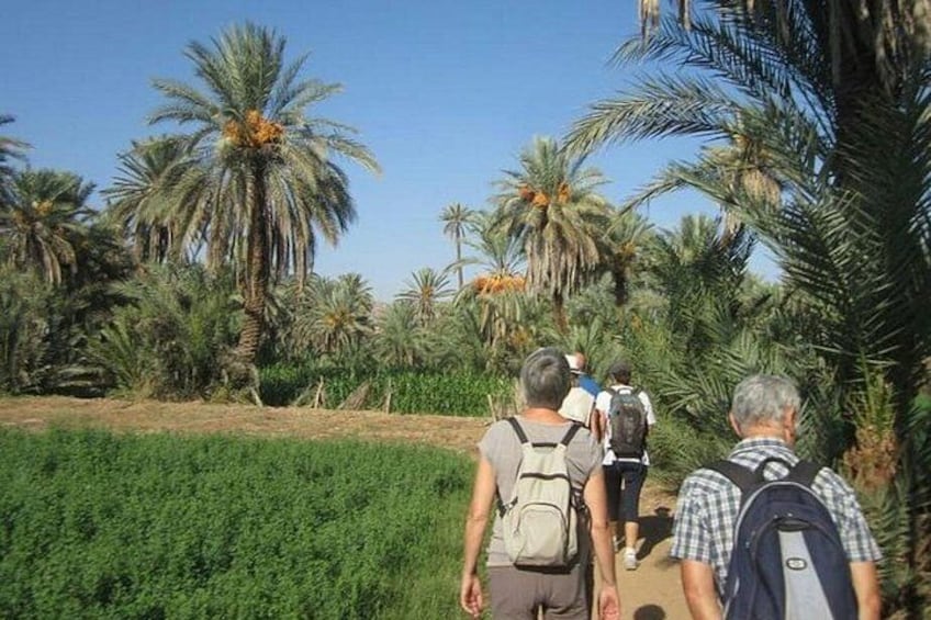 Taroudant and Tiout Day Trip from Agadir or Taghazout 2