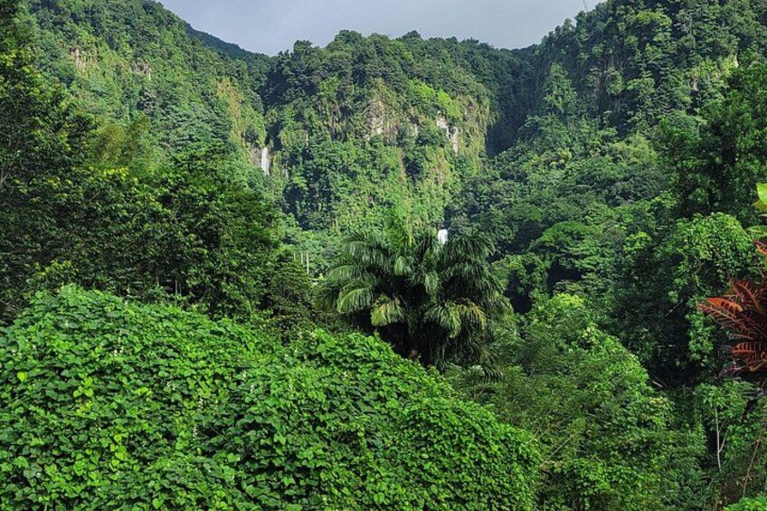 Trafalgar falls seen from a distance. The taller papa is 125 feet tall and the shorter mama Is 75 feet tall. 1
