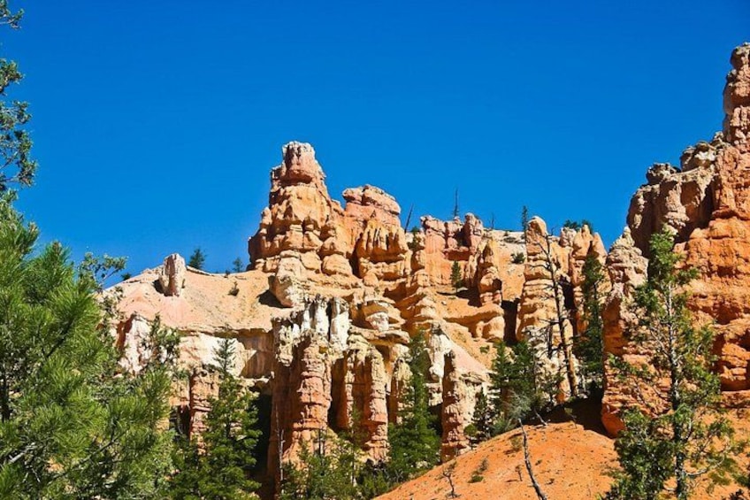 A rocky mountain with unique formations and green trees. 4
