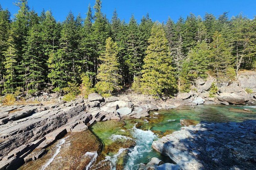 Un fiume che scorre attraverso una zona boschiva con terreno roccioso e alberi verdi fitti. 3