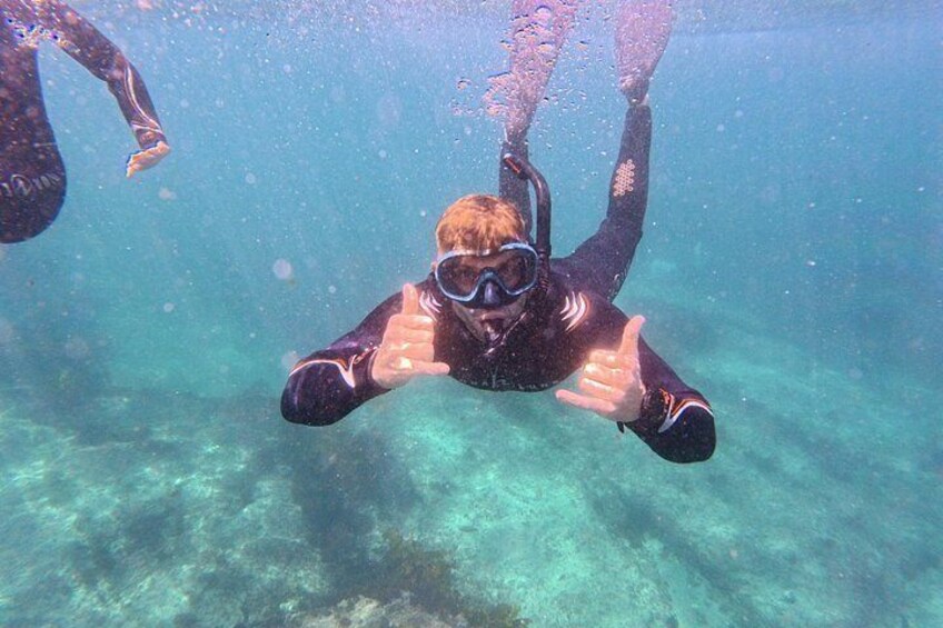 Snorkeling To Discover Sydney's Underwater Wonders 2
