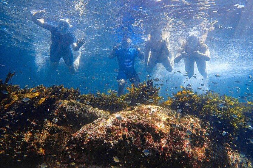 Drei Taucher unter Wasser mit Fischen und Korallenriffen. 4