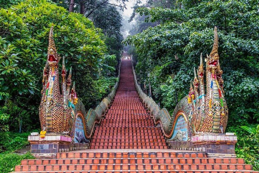 Doi Suthep with Hmong Village and Wat Umong Half Day Tour 4
