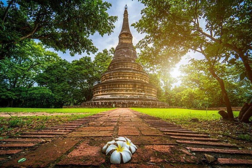 Doi Suthep with Hmong Village and Wat Umong Half Day Tour 2
