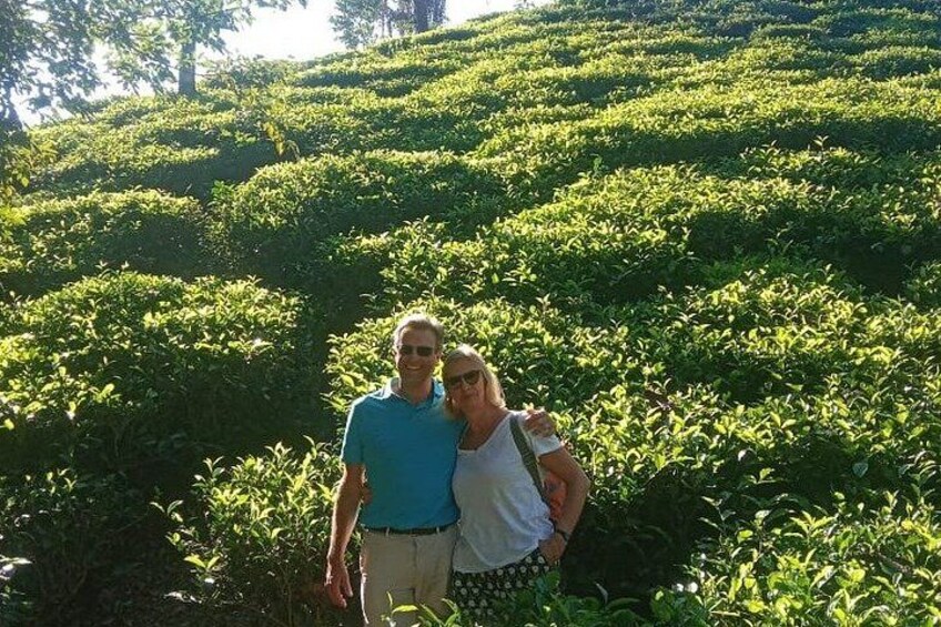 A memorable walk through the lush green fields of Amchong Tea Estate with our international guests — exploring the journey of tea from leaf to cup amidst breathtaking natural beauty. 2