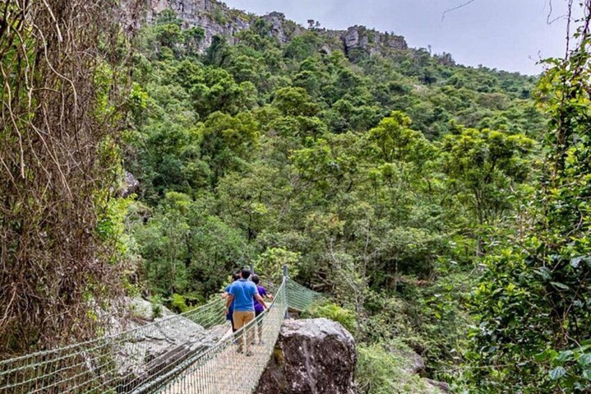 From Hazyview- Full Day Panoramic Tour 4
