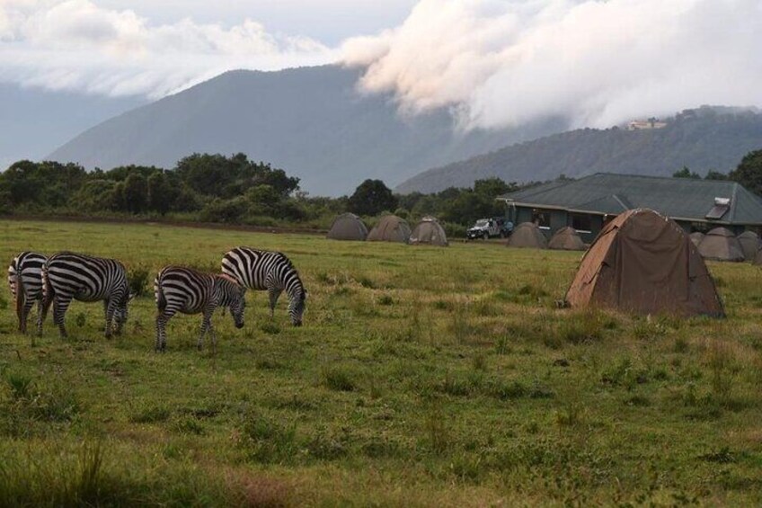 4 Days lodge &camping Tarangire,Serengeti, Ngorongoro Safari Tour