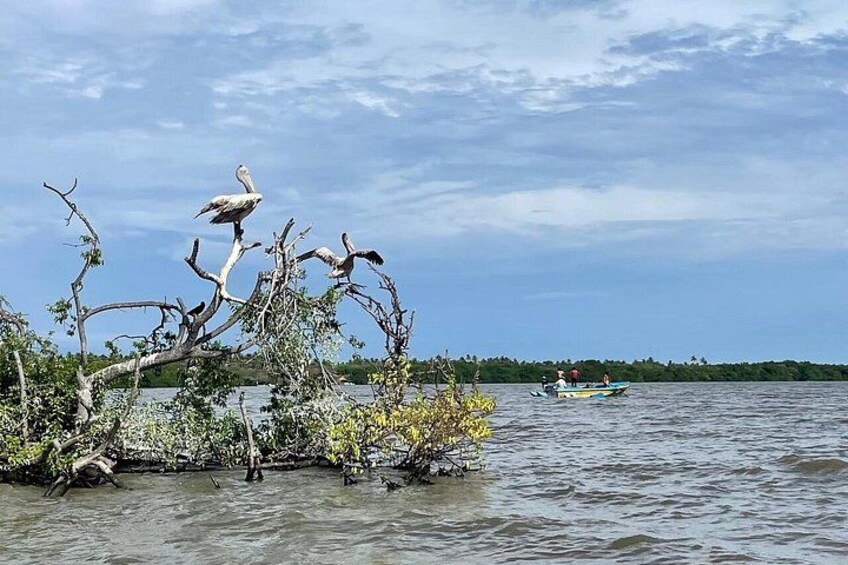 A river with a boat and a large bird on a tree branch. 5