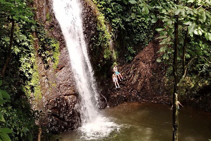 A waterfall in a forested area with a person sitting on a rock near the water. 2