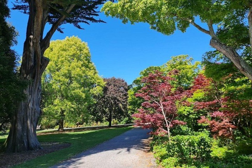 Un sentier bordé d’arbres dans un parc, avec un feuillage vert et rouge. 4