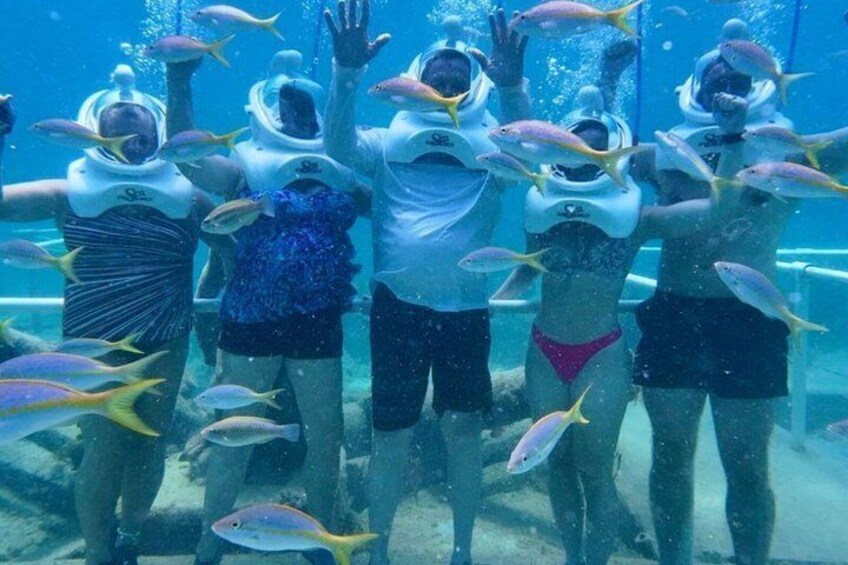 St Maarten SeaTrek and Snorkeling Adventure 5