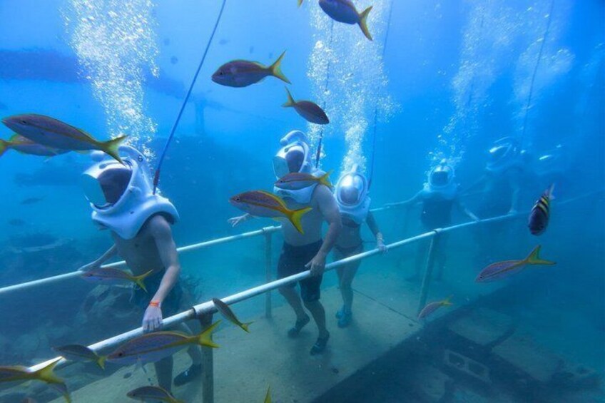 St Maarten SeaTrek and Snorkeling Adventure 3