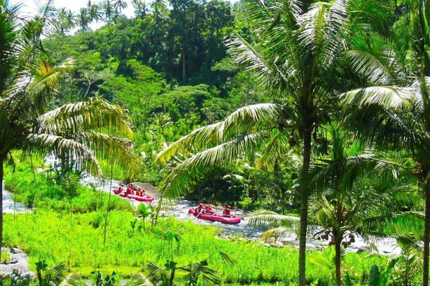 Ubud Highlights Day Tour with Bali ATV and Rafting 3