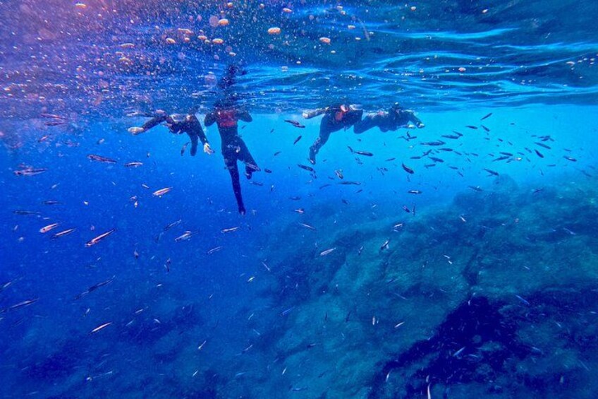 Two divers swimming underwater with a school of fish. 3