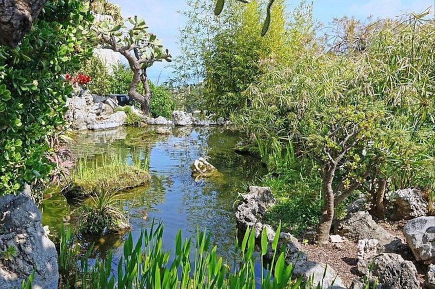A serene pond surrounded by rocks and greenery. 4