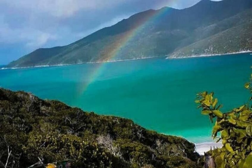 Boat Tour in Arraial do Cabo 5