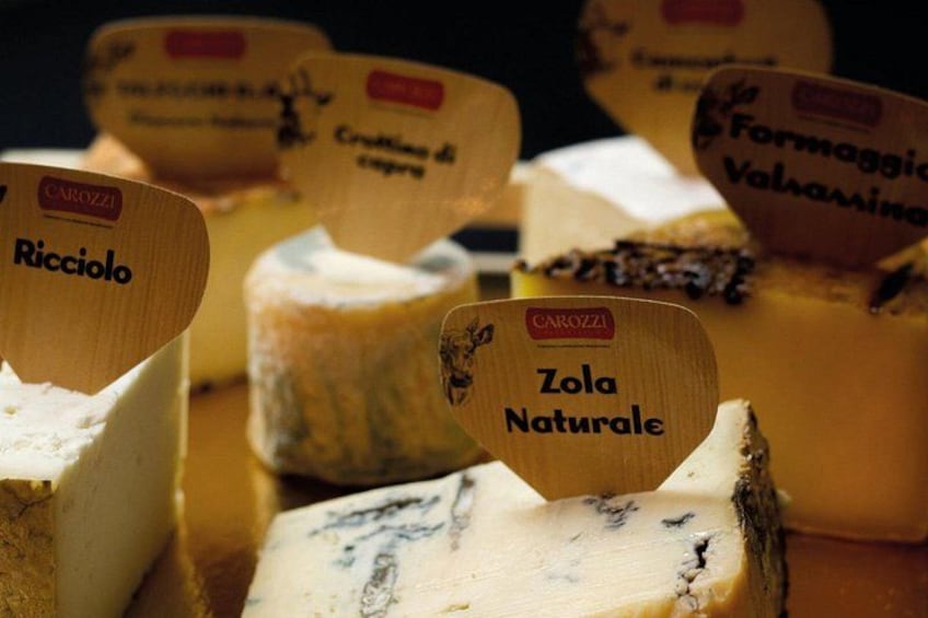 Various types of cheese with labels indicating names and types. 5