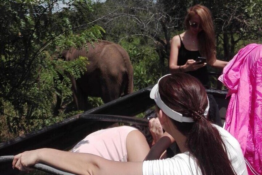 A safari vehicle with people observing wildlife. 4