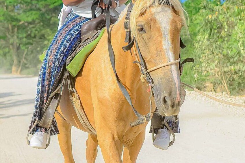 En person som rider på en häst på en väg, med grönska i bakgrunden. 3