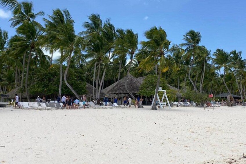 A beach with palm trees, lounge chairs, and a thatched-roof hut. 4