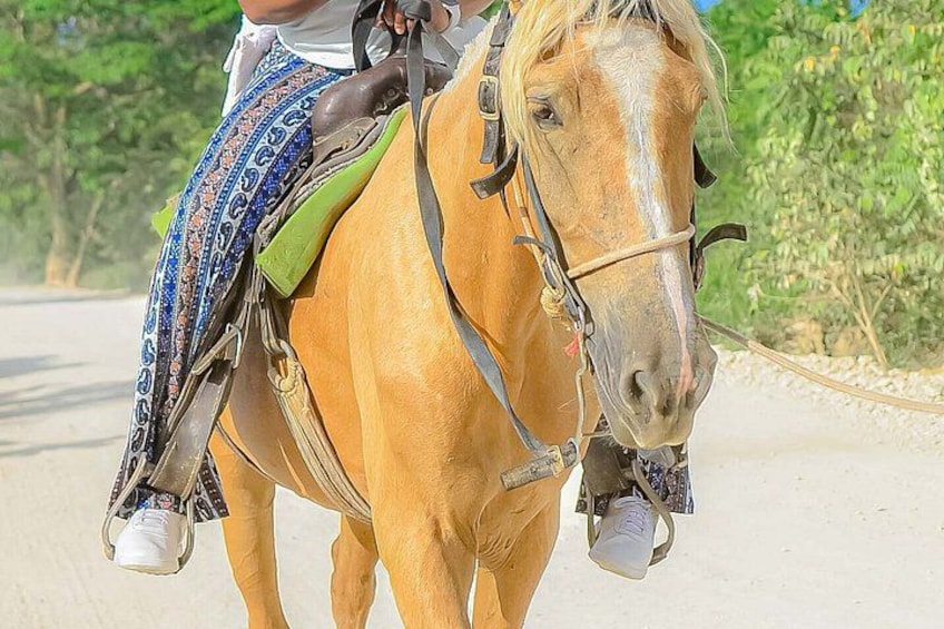 A person riding a horse on a paved road with greenery in the background. 5