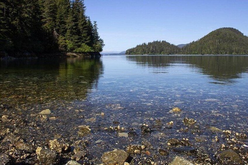 Adventure Hike | ALASKAN WILDERNESS TRAIL 3