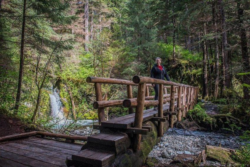 Adventure Hike | ALASKAN WILDERNESS TRAIL 4