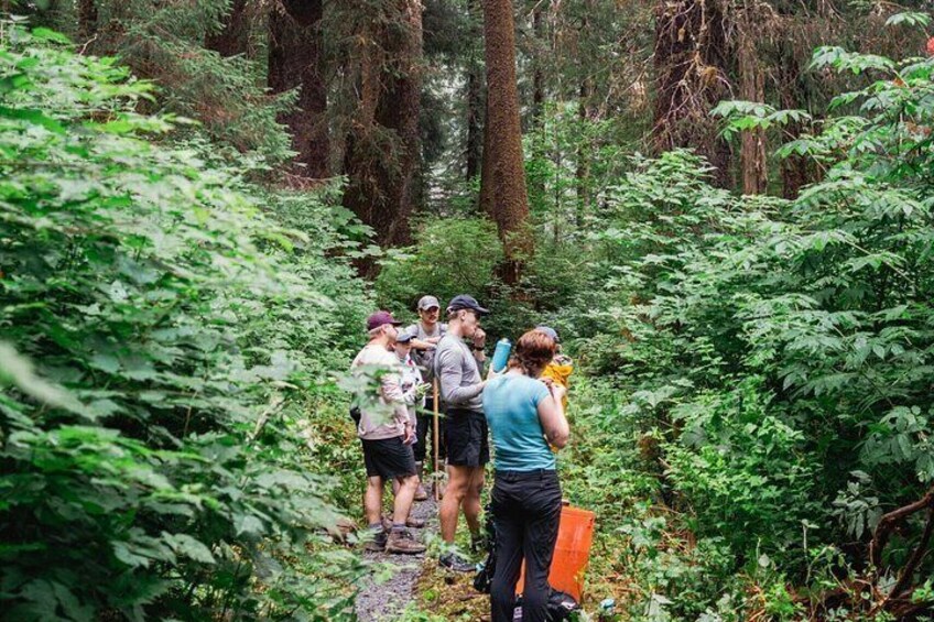 Adventure Hike | ALASKAN WILDERNESS TRAIL 2
