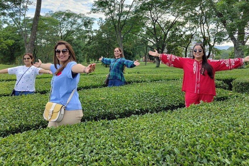 Palampur Tea Garden Tour 2