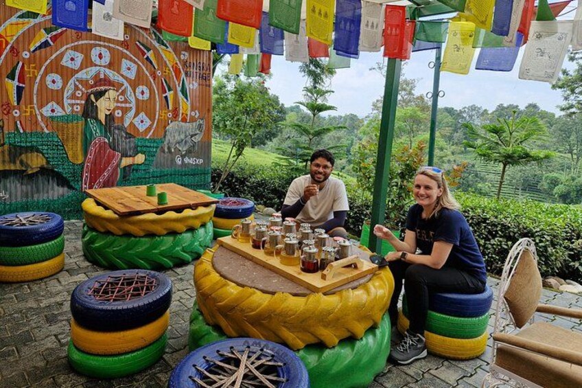 Palampur Tea Garden Tour 3