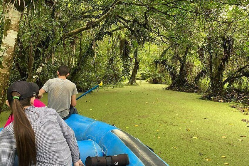 Un groupe de personnes à bord d’un radeau bleu navigue à travers une zone forestière dense et verdoyante. 4