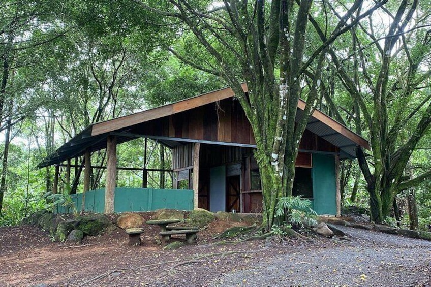 Un chalet rustique entouré d’une forêt dense. 2